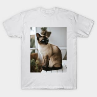 Cute Siamese Cat Pet T-Shirt